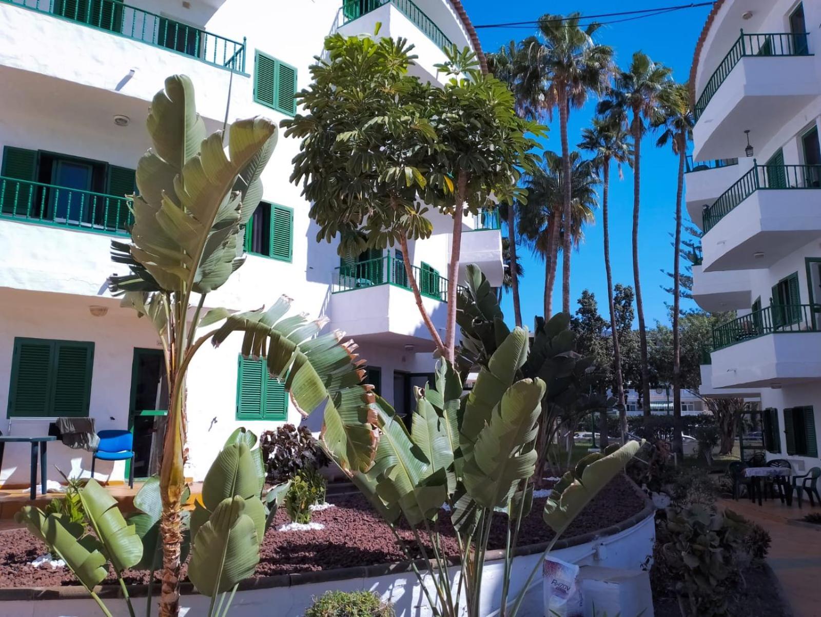 Canarian Havaii En Faluas Playa del Ingles  Exterior photo